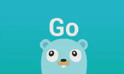 Featured image of post Go